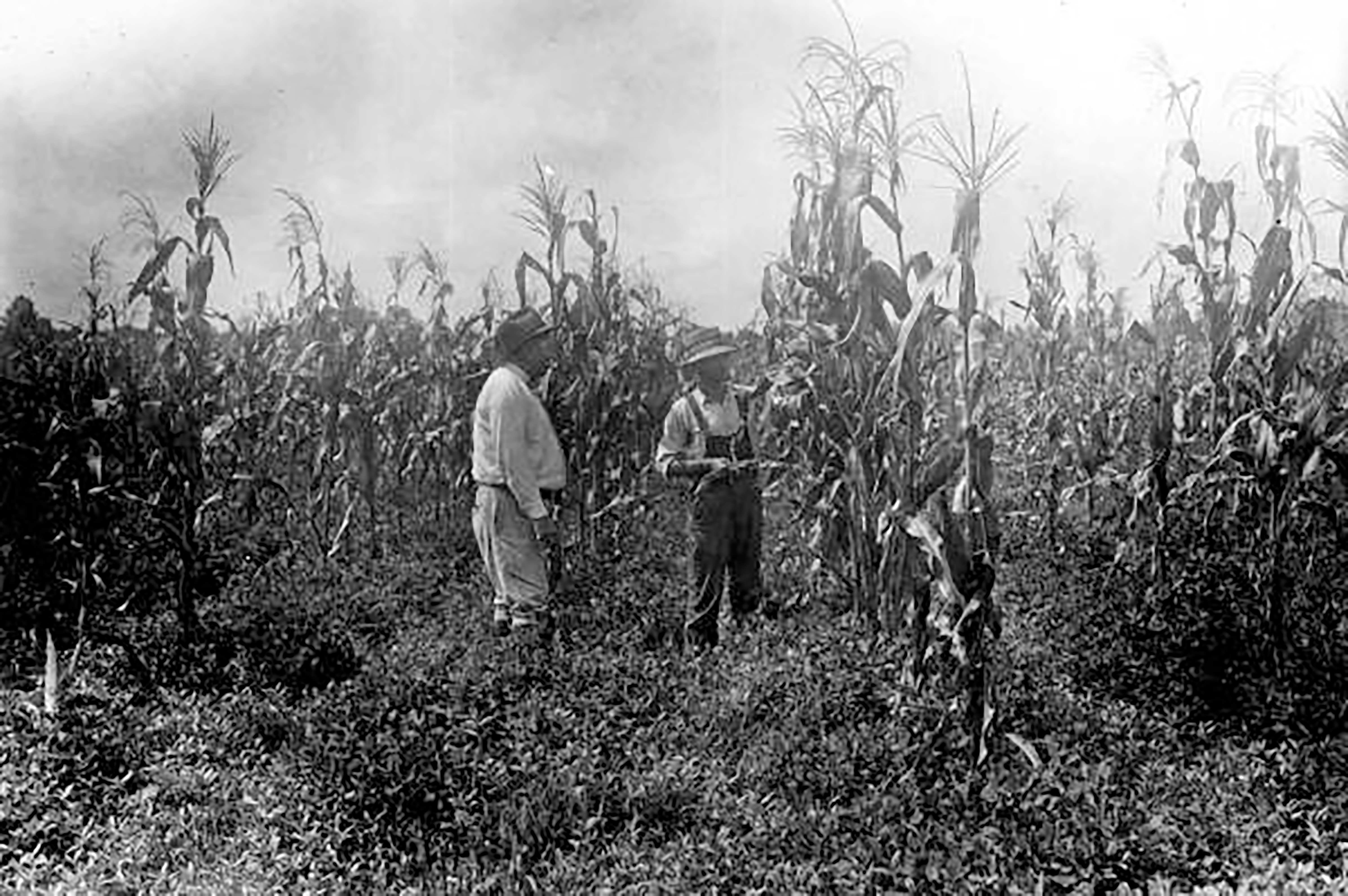 resizedfarmers