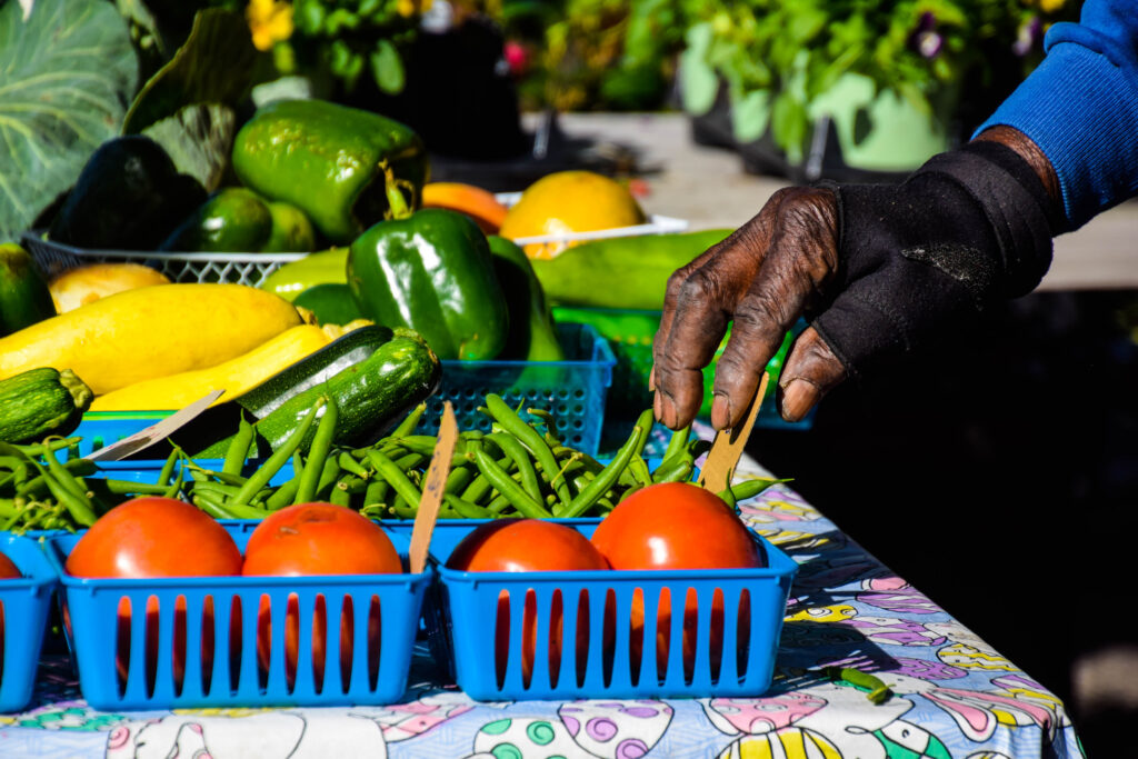 Red tomatoes, green beans, green peppers and yellow squash all sit in their own blue basket on a table. A hand reaches towards the red tomatoes.