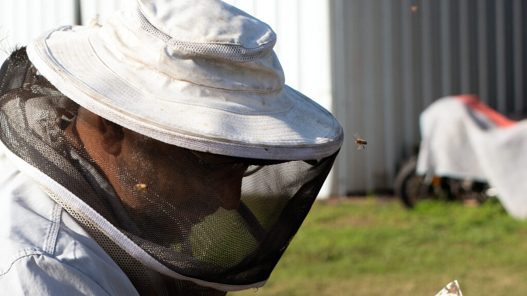Vasquez observes the state of the honeycomb and ensures that everything is in good health. “If there's a problem with the queen, it's really not very long until that colony is really taking a downward turn,” Vasquez said. “If they don't have a queen, the colony is just not going to make it. So, it's important that she stays very productive.” (Jack Vincent/Atrium Magazine)